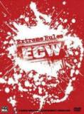 WWE ECW中文 【20100217】