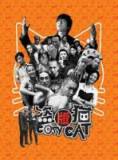 盗版猫DVD